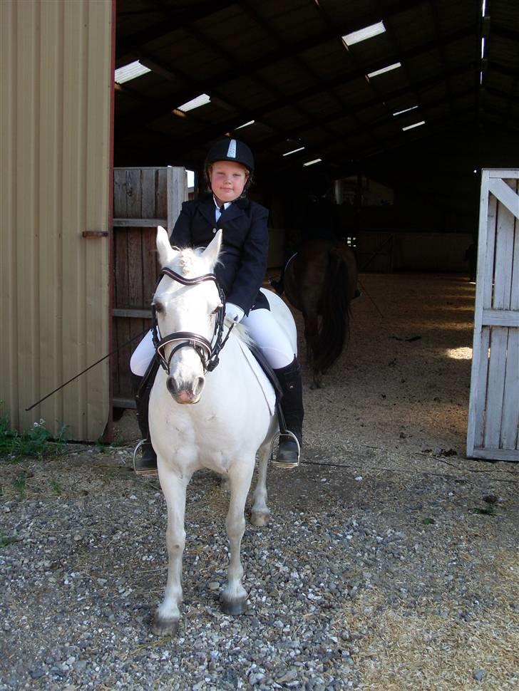 Anden særlig race polka  [solgt] - vores første stævne billede 6