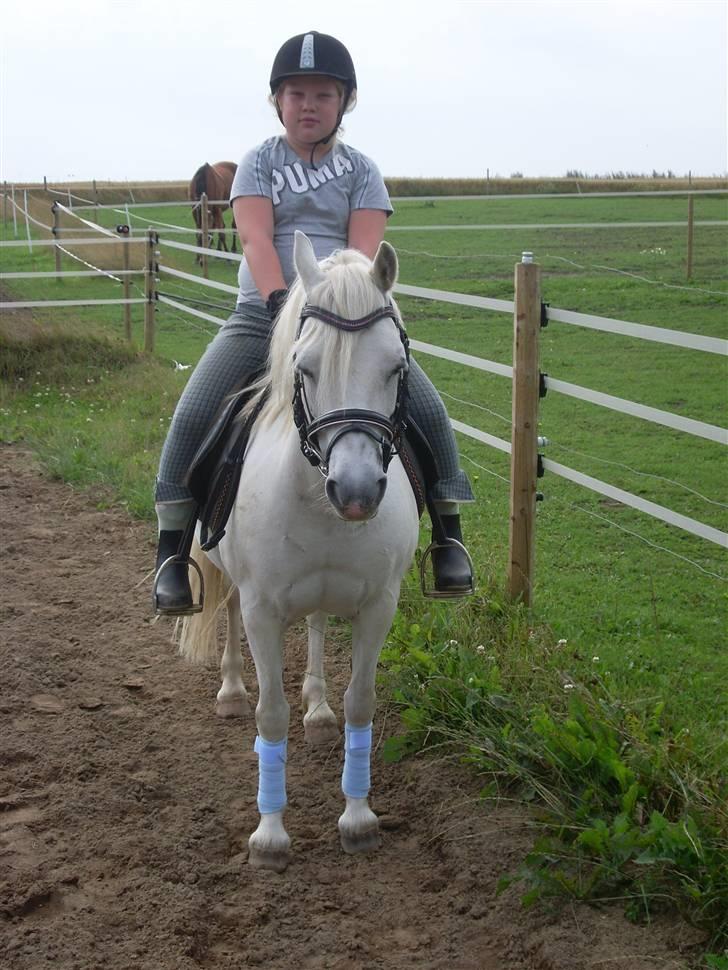 Anden særlig race polka  [solgt] - my little pony Polka billede 10