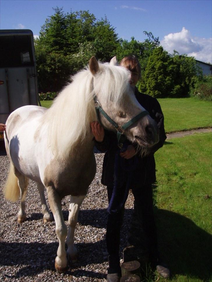 Anden særlig race Bella billede 1