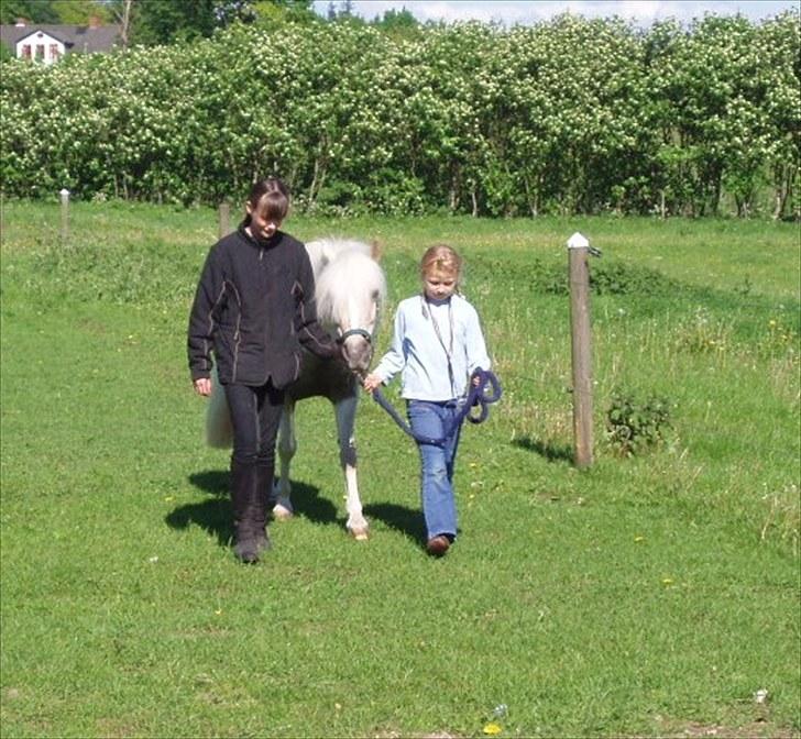 Anden særlig race Bella billede 2