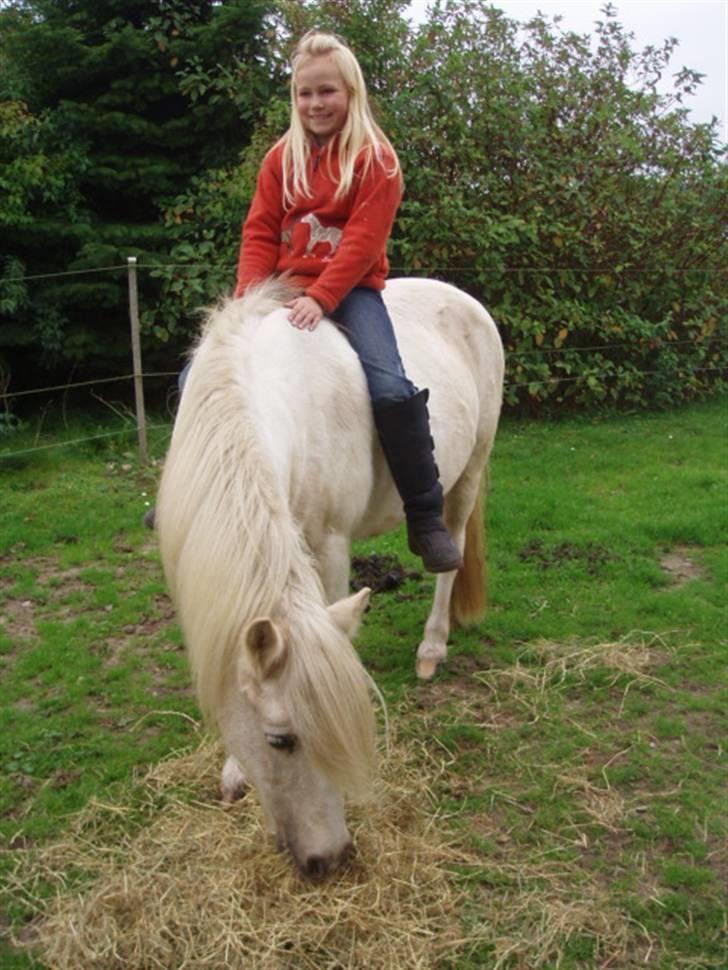 Anden særlig race Bella - Mig og min smukke Bella ( 5 år siden ) billede 3