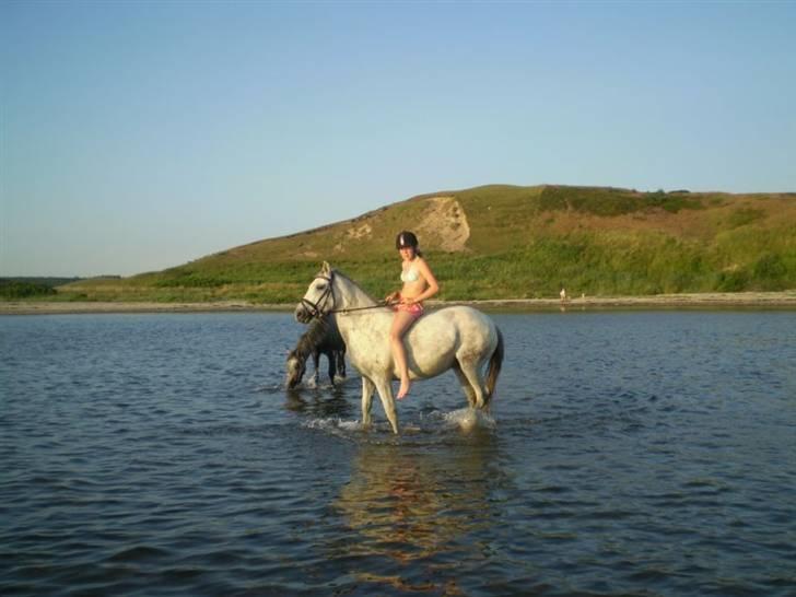 Anden særlig race Cirkeline <3 billede 20