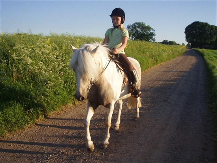 Anden særlig race Bella billede 7