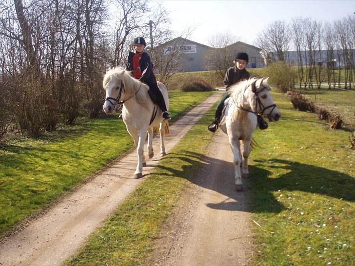 Anden særlig race Bella billede 9