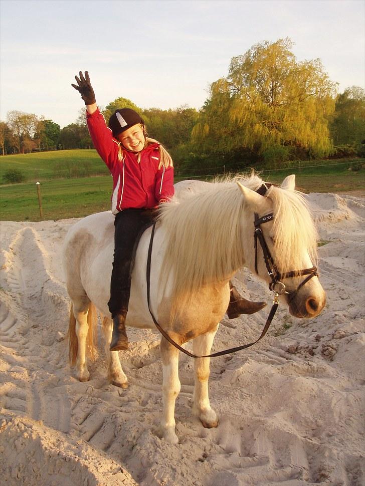 Anden særlig race Bella billede 10