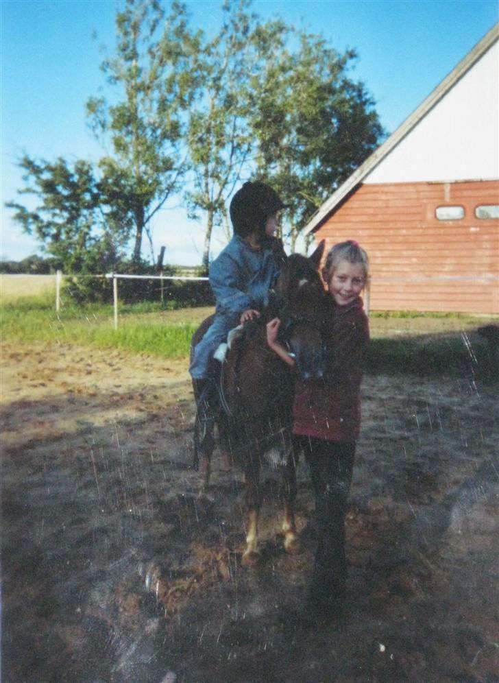 Anden særlig race Lui SOLGT billede 9