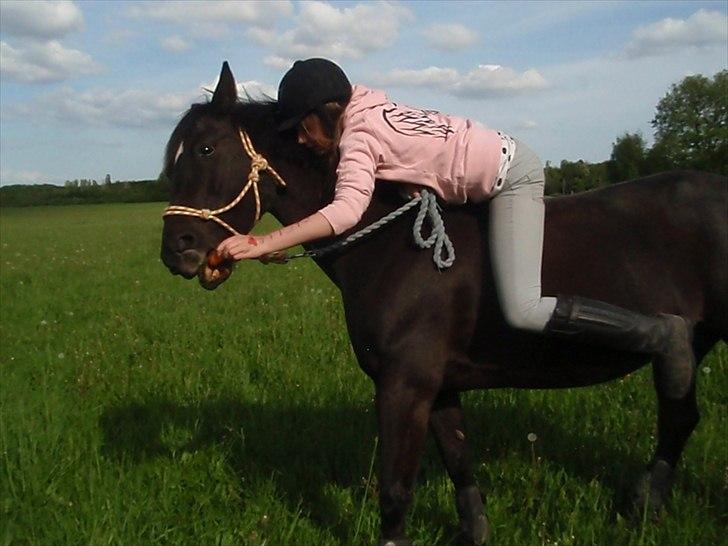 Anden særlig race Stella <33 R.I.P billede 12