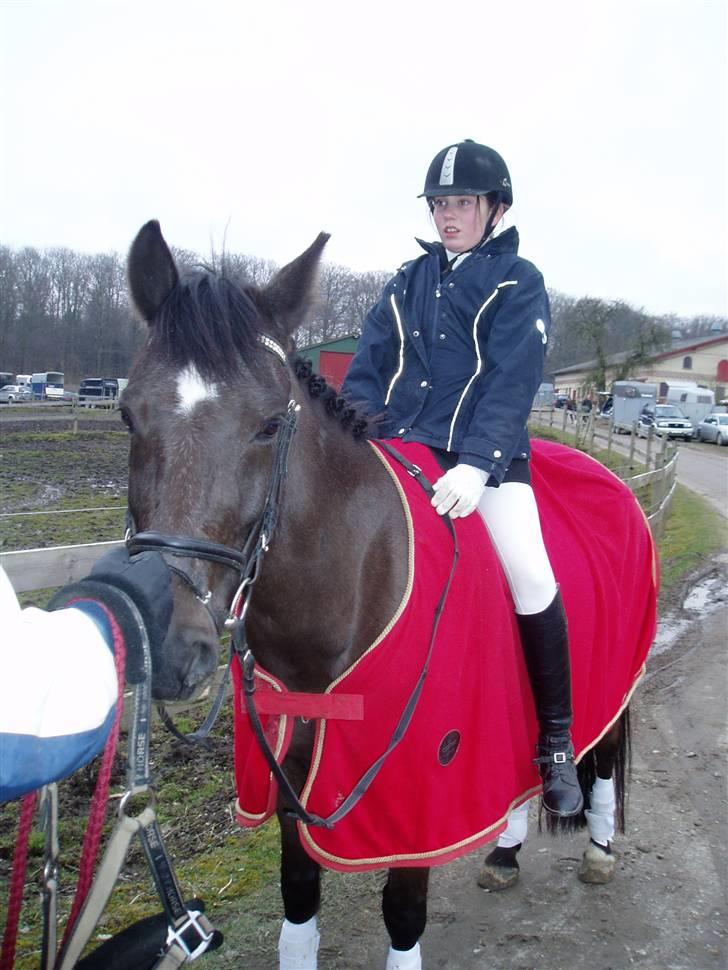 Anden særlig race Stella <33 R.I.P billede 13