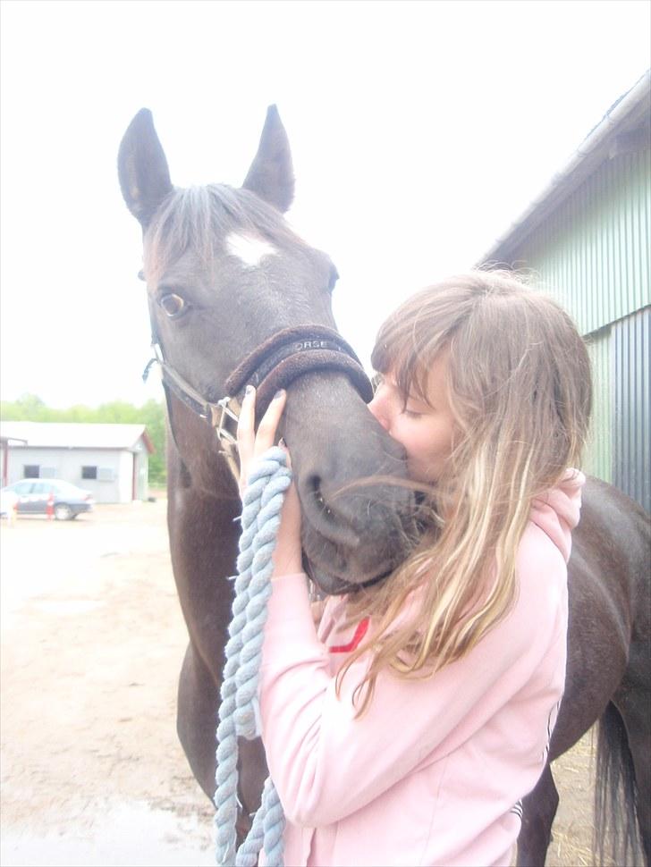 Anden særlig race Stella <33 R.I.P billede 14