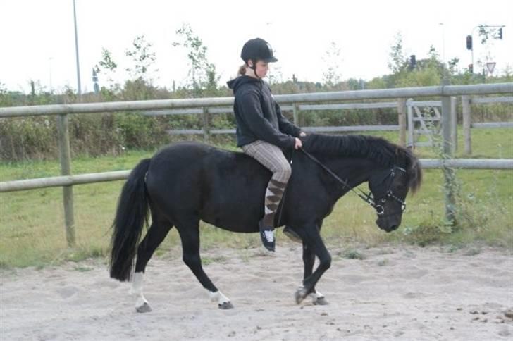 Anden særlig race Fleur billede 6