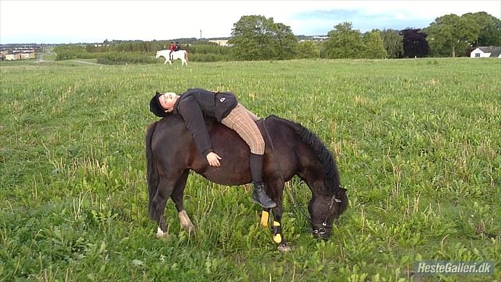 Anden særlig race Fleur billede 11