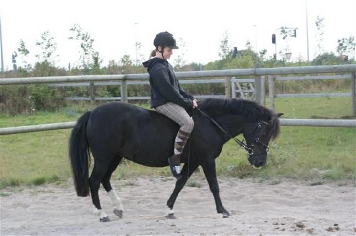 Anden særlig race Fleur billede 13