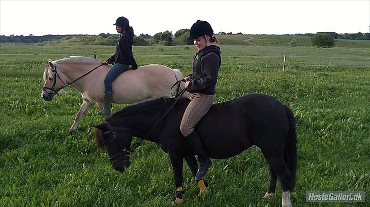 Anden særlig race Fleur billede 16