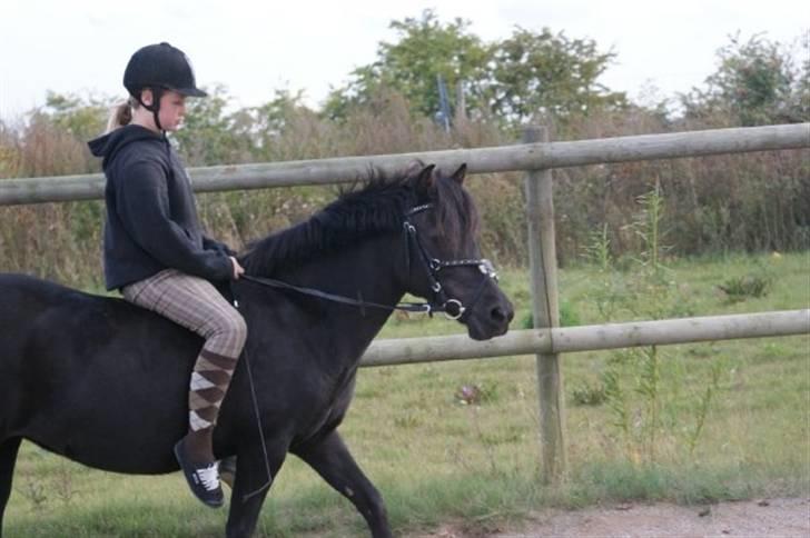 Anden særlig race Fleur billede 17