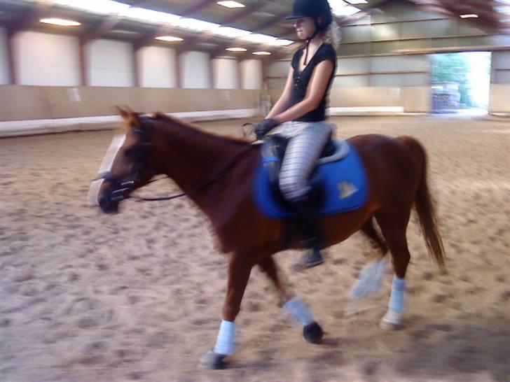 DSP Fruetoftens Lucky. xpart billede 12