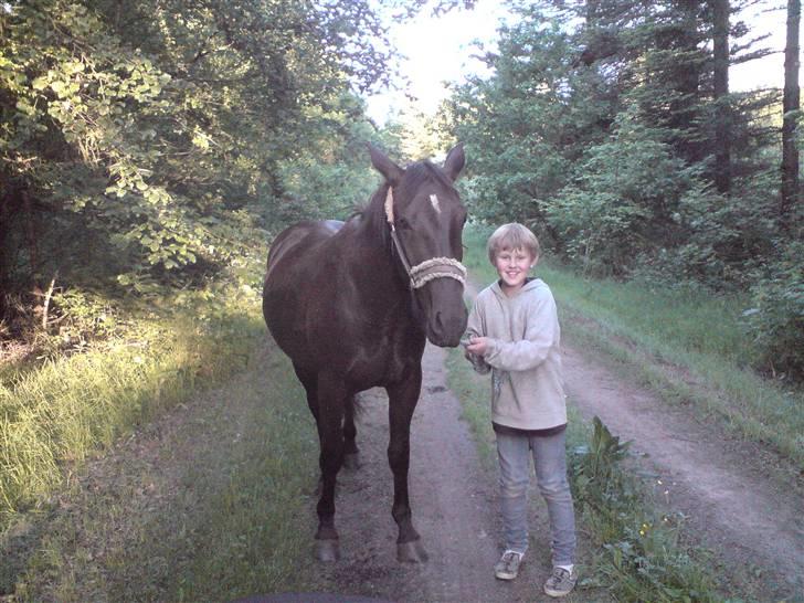 Oldenborg my fair lady (død  ) :,-( - johnas trækker tur med lady op i skoven billede 11