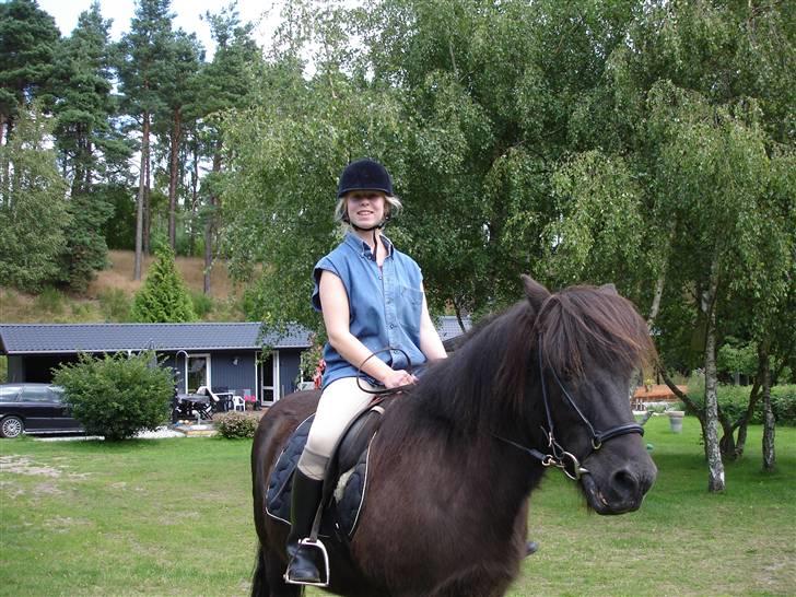 Islænder Blakkur frá Landeyjum - anden gang jeg rider Blakkur i 2009 billede 13
