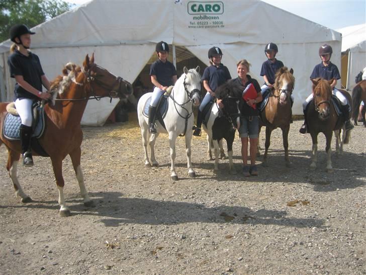 Pinto Jackpot <3 - Han nyser <33 billede 4