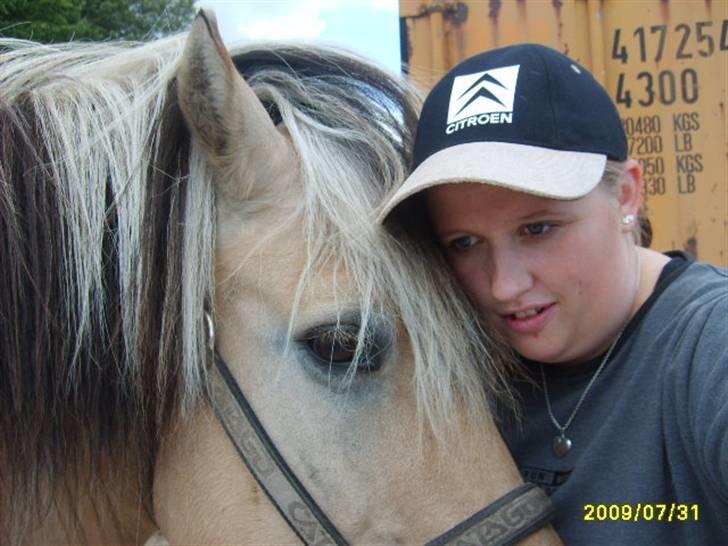 Fjordhest Felix Solgt - nyt felix og mig billede 15