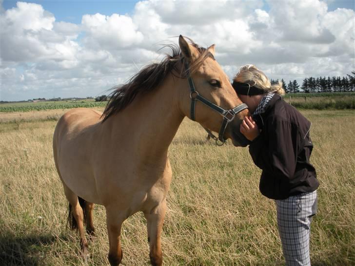 Anden særlig race Karamella SOLGT!  - Min bv og min pony :)  billede 5