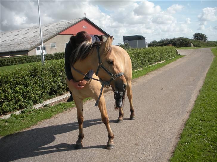 Anden særlig race Karamella SOLGT!  - sove ! GODNAT  billede 18