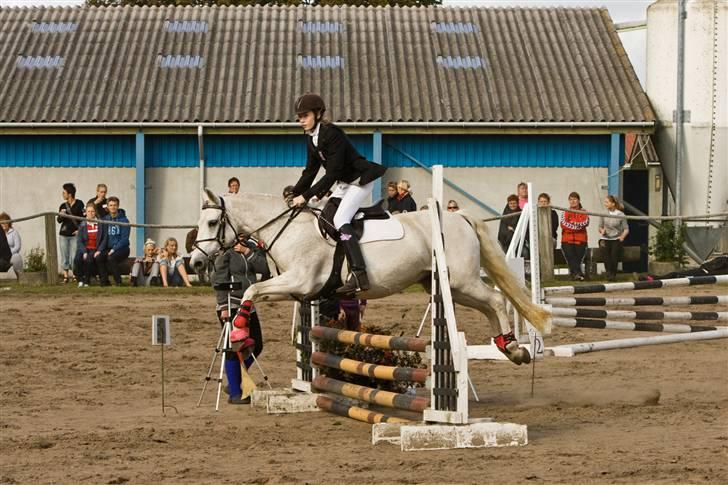 DSP Bona Dea Solgt - Skønheden, til Nibe Cup 2009:*. billede 12