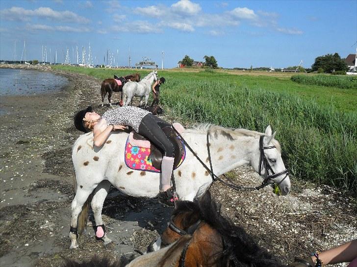 DSP Bona Dea Solgt - Godnat sagde jeg! billede 14