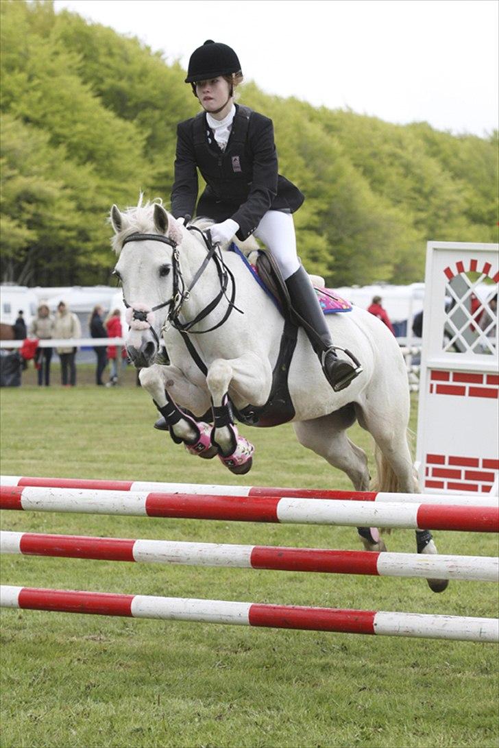 DSP Bona Dea Solgt - Morsø 2010!:-D
Dea, de oplevelser jeg har haft med dig kan ikke tælles eller beskrives!;-*. billede 2