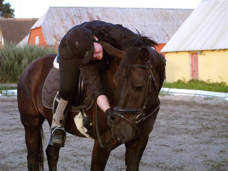 Oldenborg † Cavalcanti (Pony) billede 13