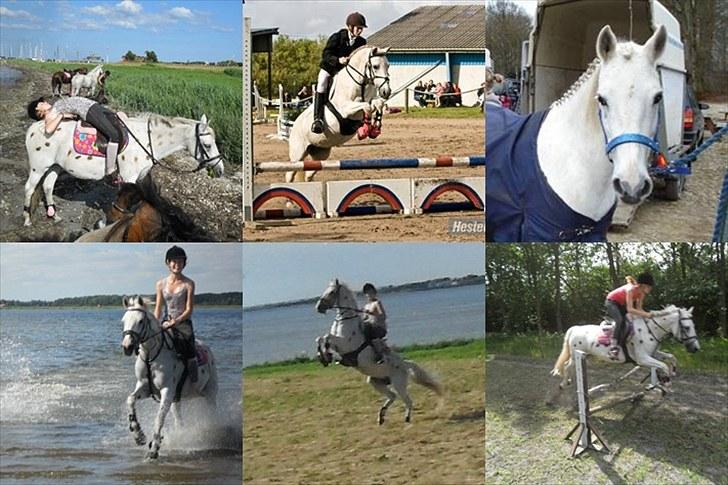 DSP Bona Dea Solgt - Vi kan alt sammen:-* billede 16