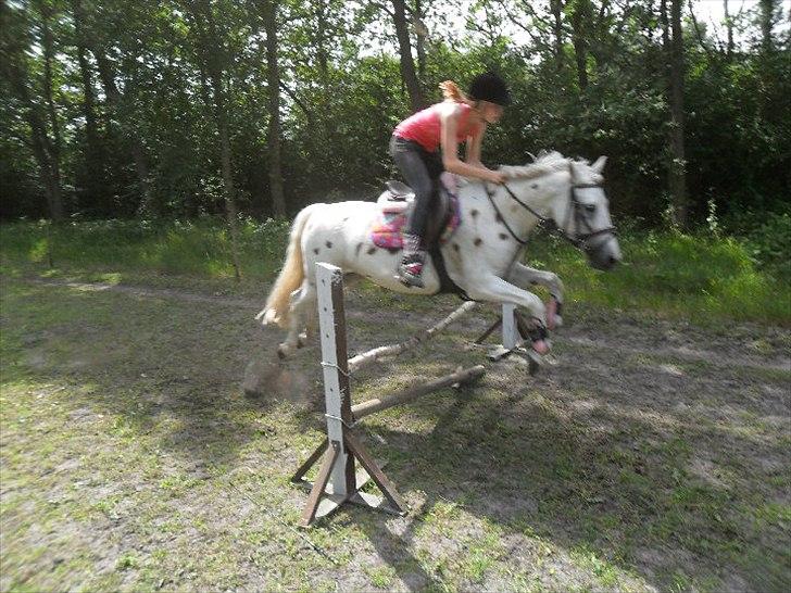 DSP Bona Dea Solgt - :* billede 19