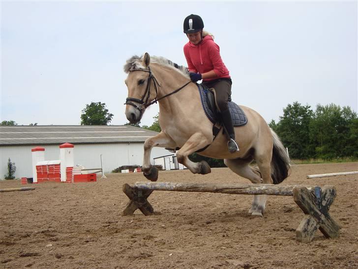 Fjordhest Elaiza - Her springer vi så en lille cavaletti :) billede 9