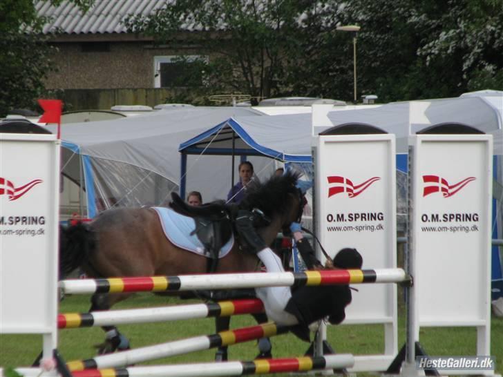 DSP Cirkeline (Sofa) - Sdr. Hygum Rideklub LA fredag *Fotograf: Magda* billede 7