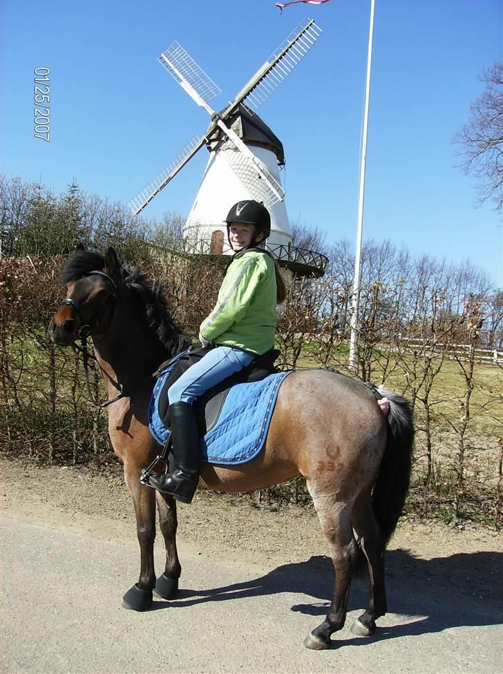DSP Cirkeline (Sofa) - Tur, V. Sottrup *Fotograf: Mor* billede 12