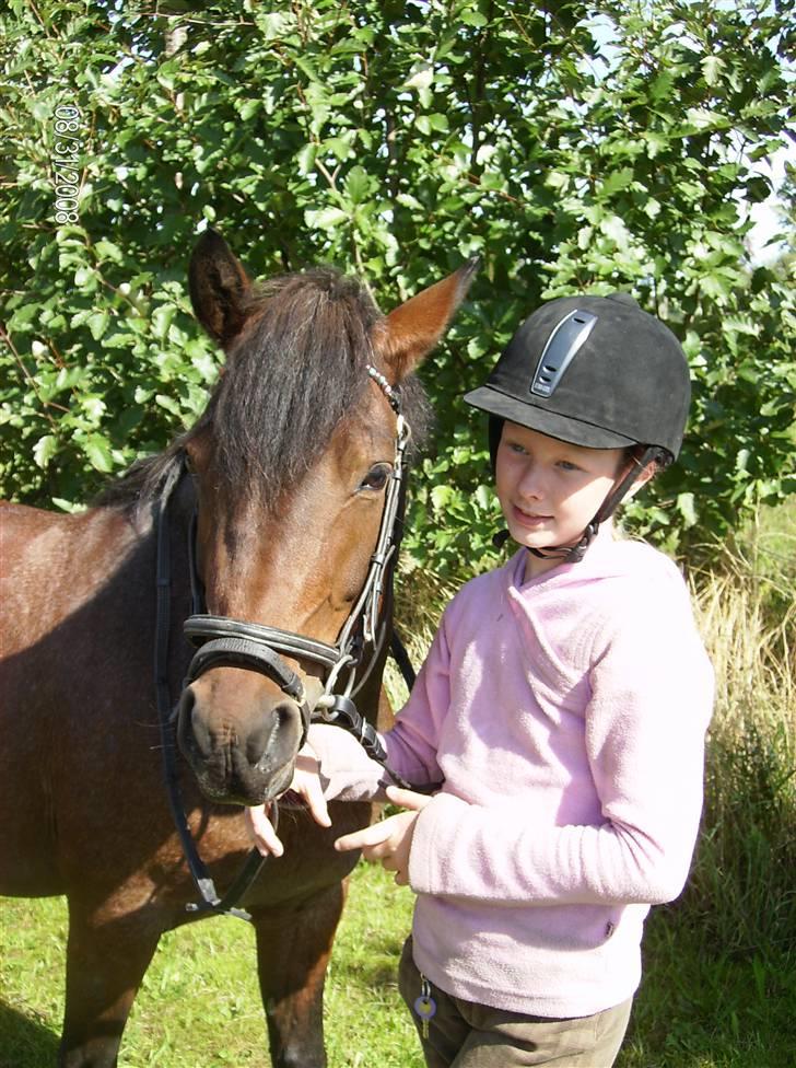 DSP Cirkeline (Sofa) - Stenholt Hestepension *Fotograf: Mor* billede 14