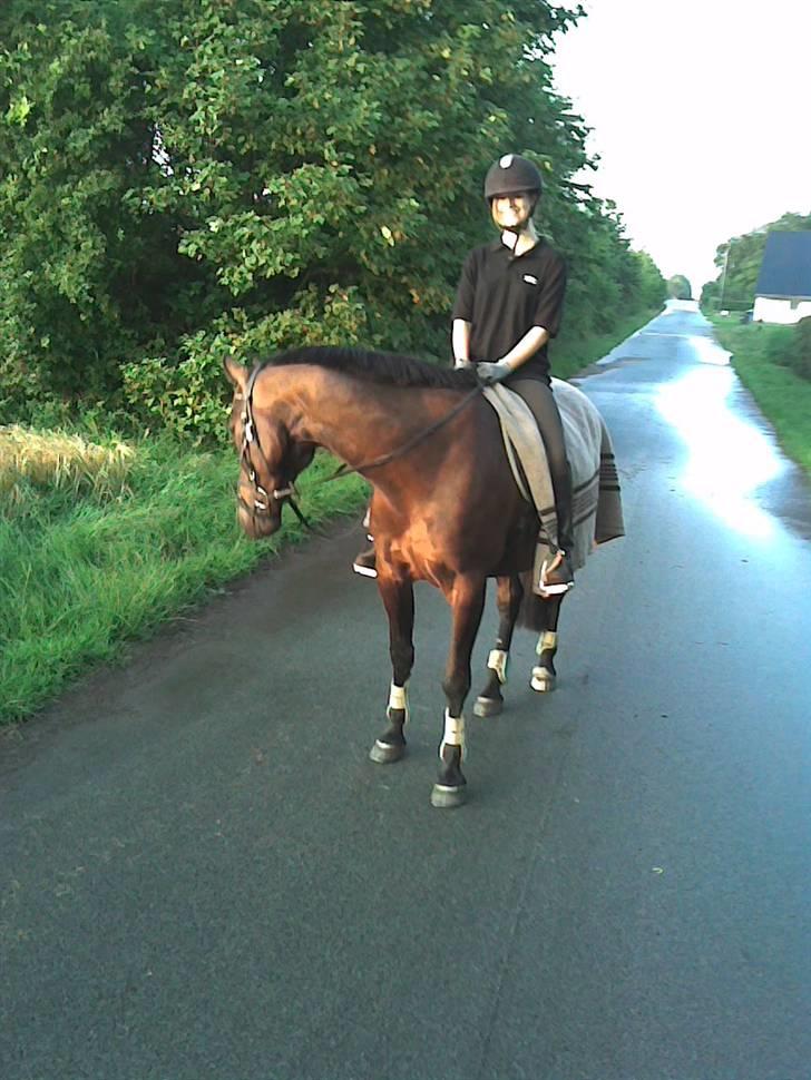 Anden særlig race Haahrs Cassio - Dejlig aften tur:) billede 2