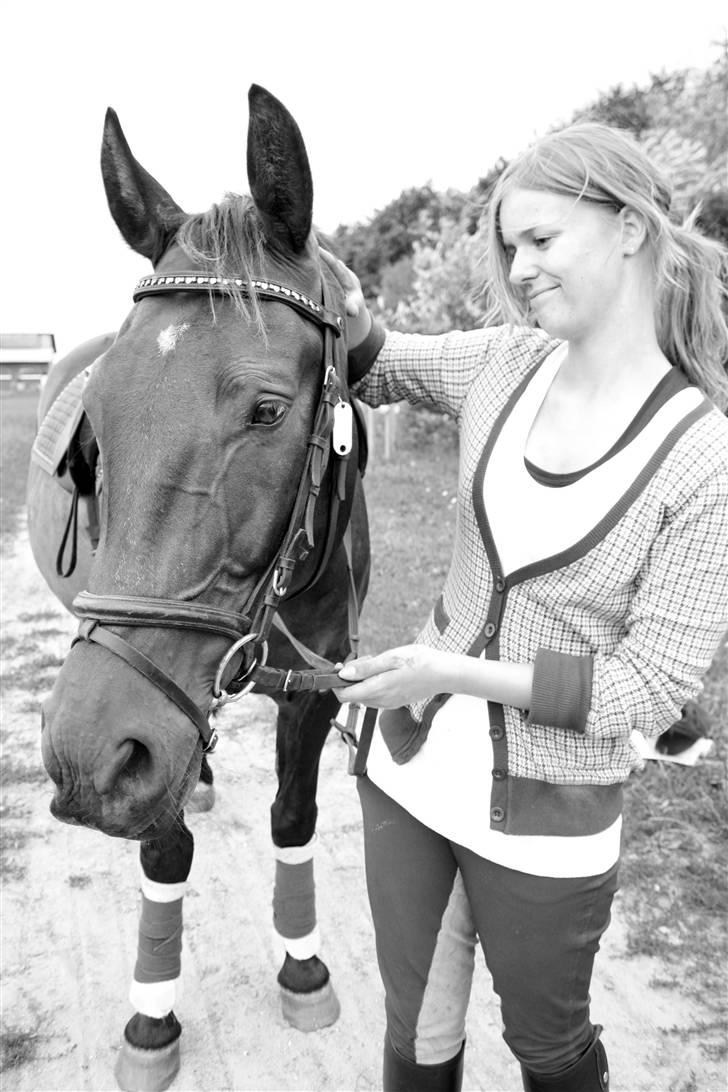 Anden særlig race Haahrs Cassio - Nurh :´) billede 17