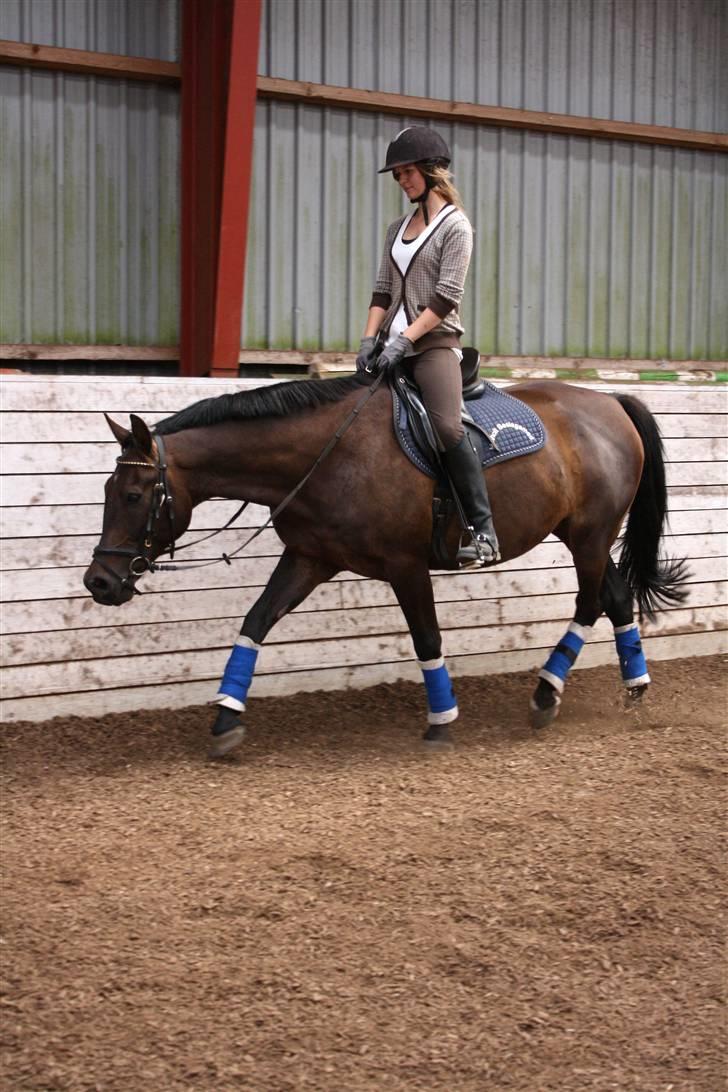 Anden særlig race Haahrs Cassio - afslapning efter træning :) billede 19