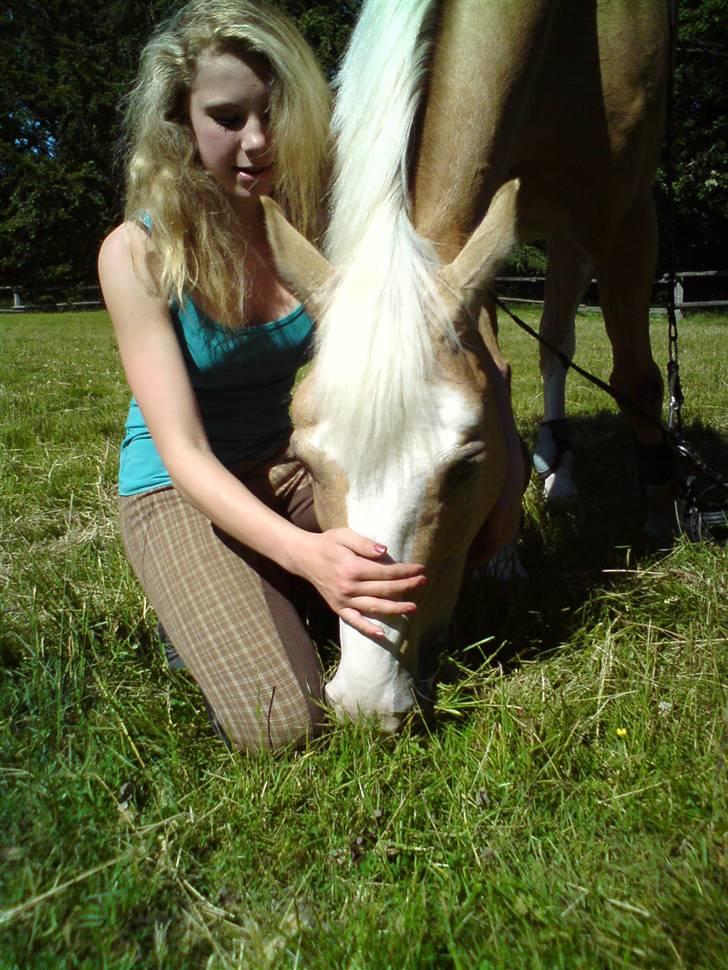 Palomino Gl. Part. Fortunens Logo  billede 10