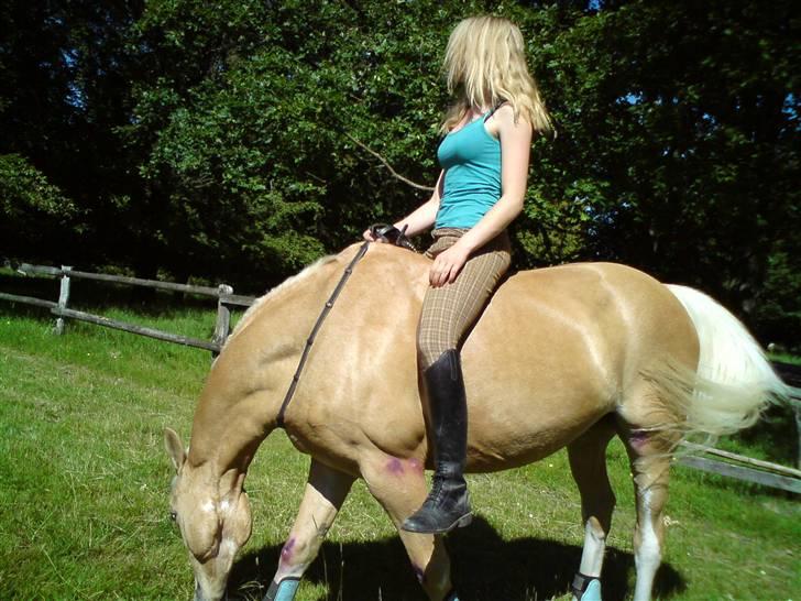 Palomino Gl. Part. Fortunens Logo  billede 13