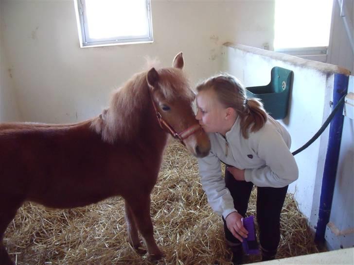 Anden særlig race Hope's Emira - ELSKER HENDE <3 billede 7