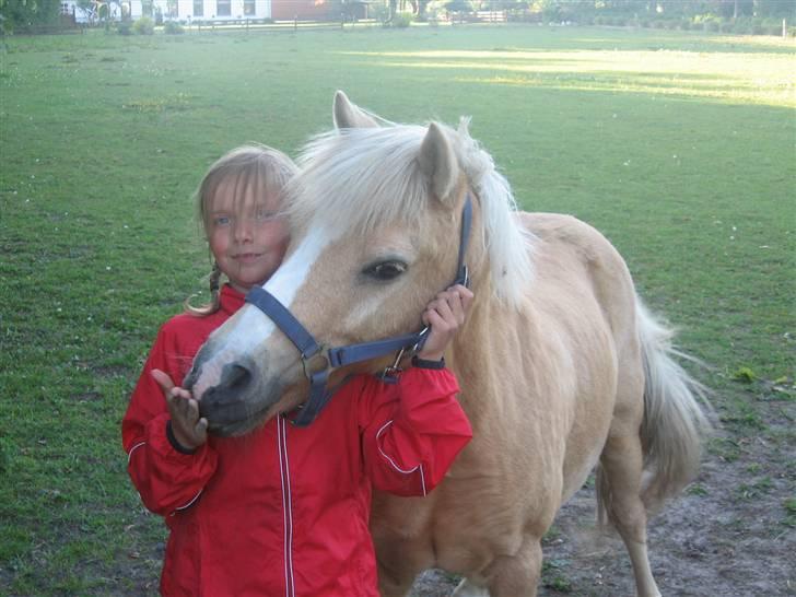 Palomino kosmo  - jeg vil altid elske dig hvor i verden du er  billede 3