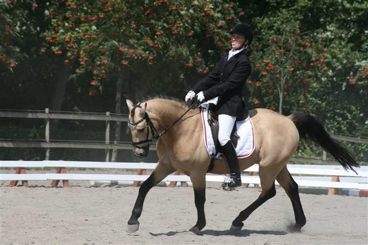DSP Toojour  - Fotot: Lærke Jønck billede 9