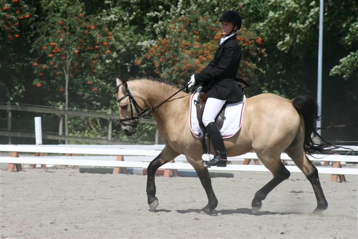 DSP Toojour  - Fotot: Lærke Jønck billede 12