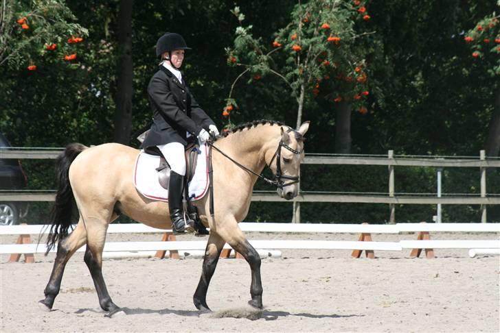 DSP Toojour  billede 13