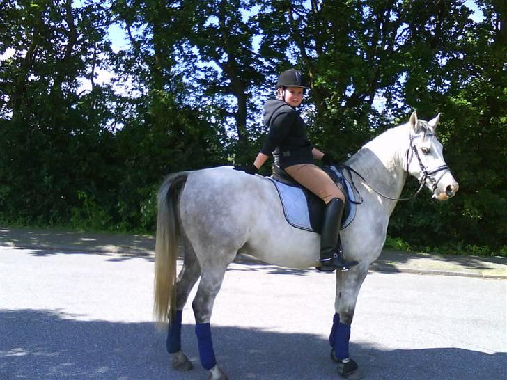 Anden særlig race Malcolm<'3 billede 17