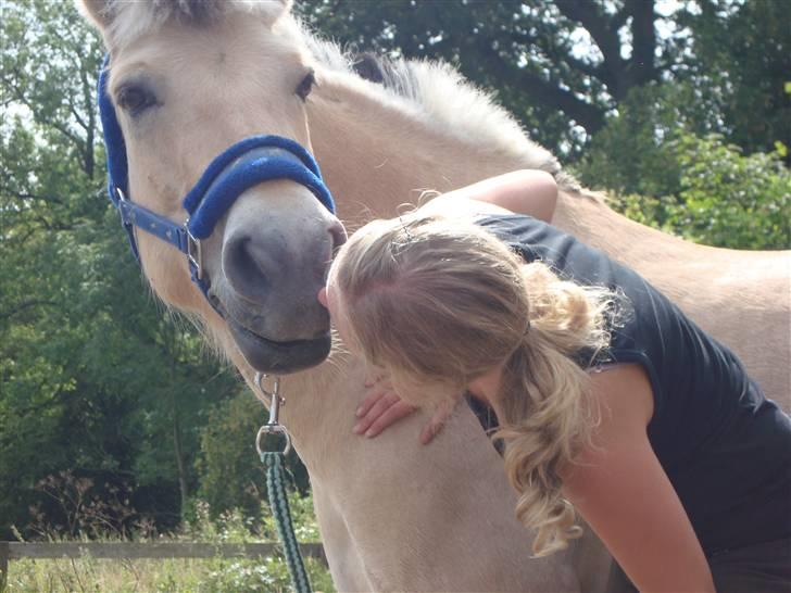 Fjordhest Elaiza - Mys mys :D billede 19