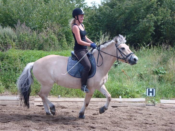 Fjordhest Elaiza - Wiiiii :D billede 20