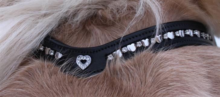 Fjordhest Prins - I miss u :'( - ..Prinses <33  billede 5