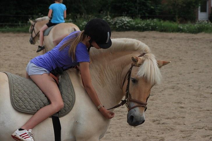 Fjordhest Prins - I miss u :'( - Prinne<3  billede 9